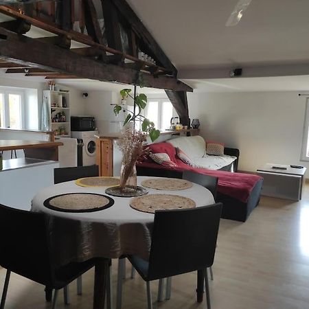 Appartement De Charme Coeur Historique Périgueux Εξωτερικό φωτογραφία
